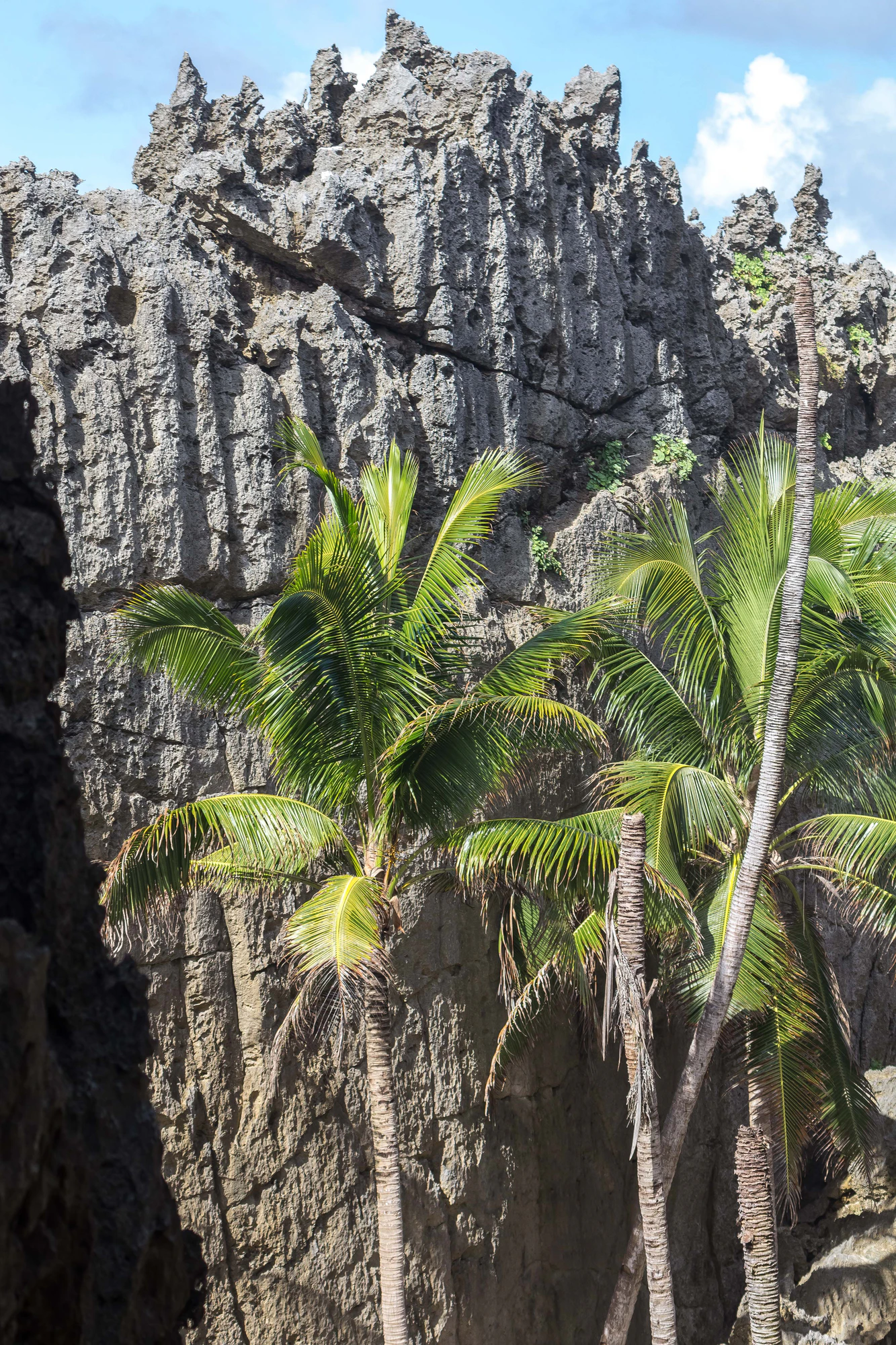 togo coral rock chasm 066 — Descargar