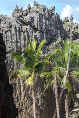 togo coral rock chasm 066 — Descargar