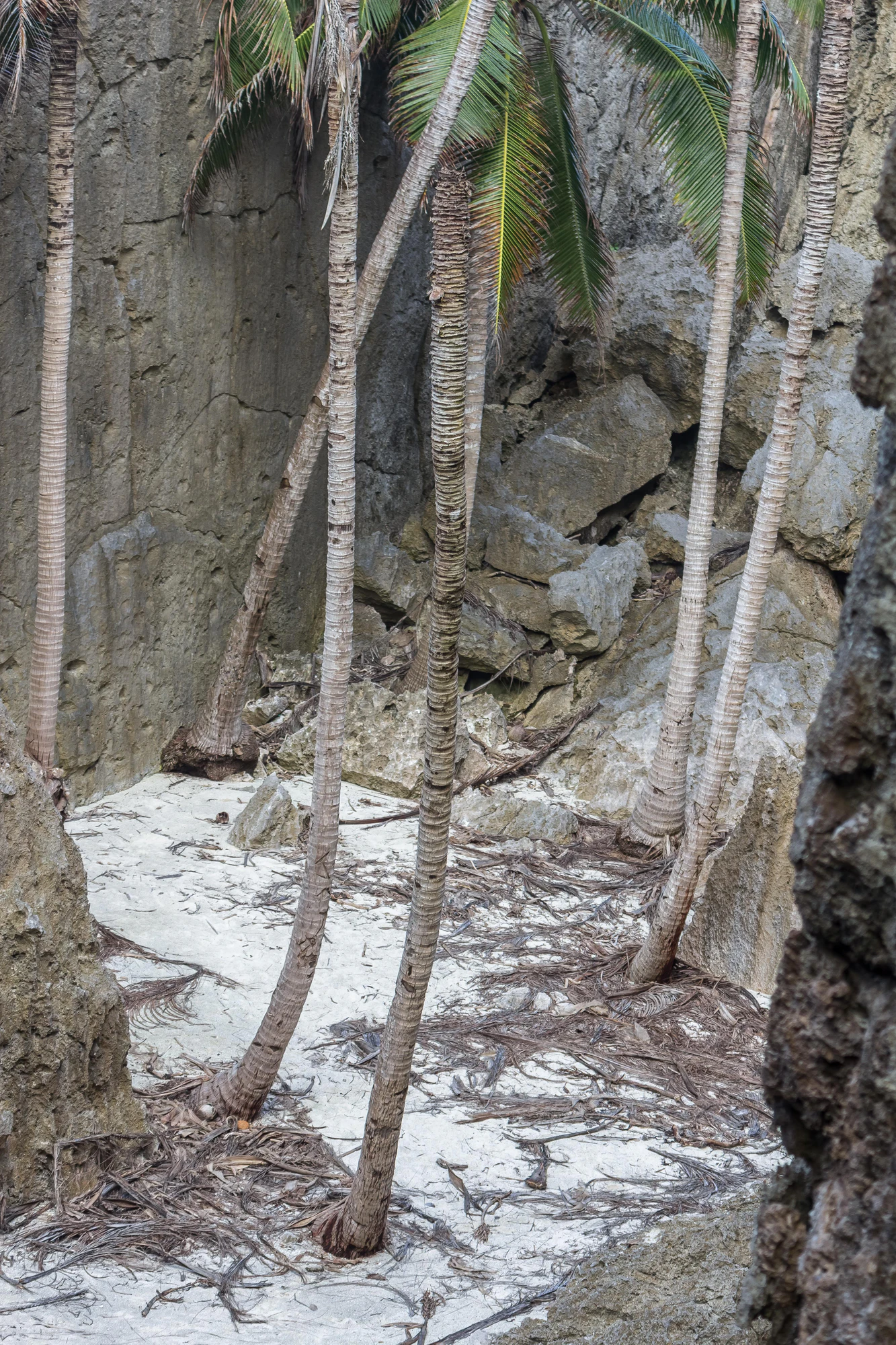 togo coral rock chasm 067 — Descargar