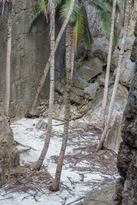 togo coral rock chasm 067 — Descargar