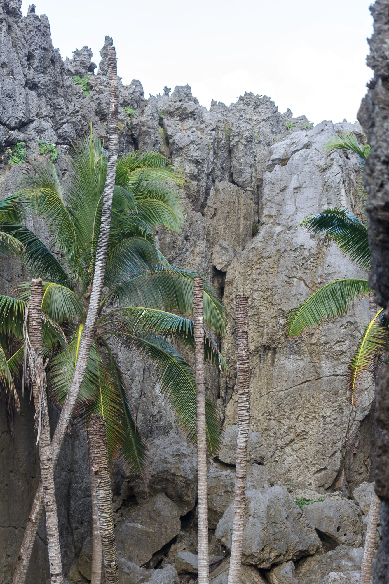 togo coral rock chasm 069 — Descargar