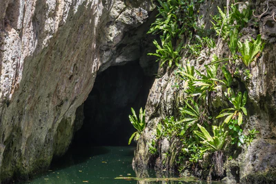 togo coral rock chasm 074 — Descargar