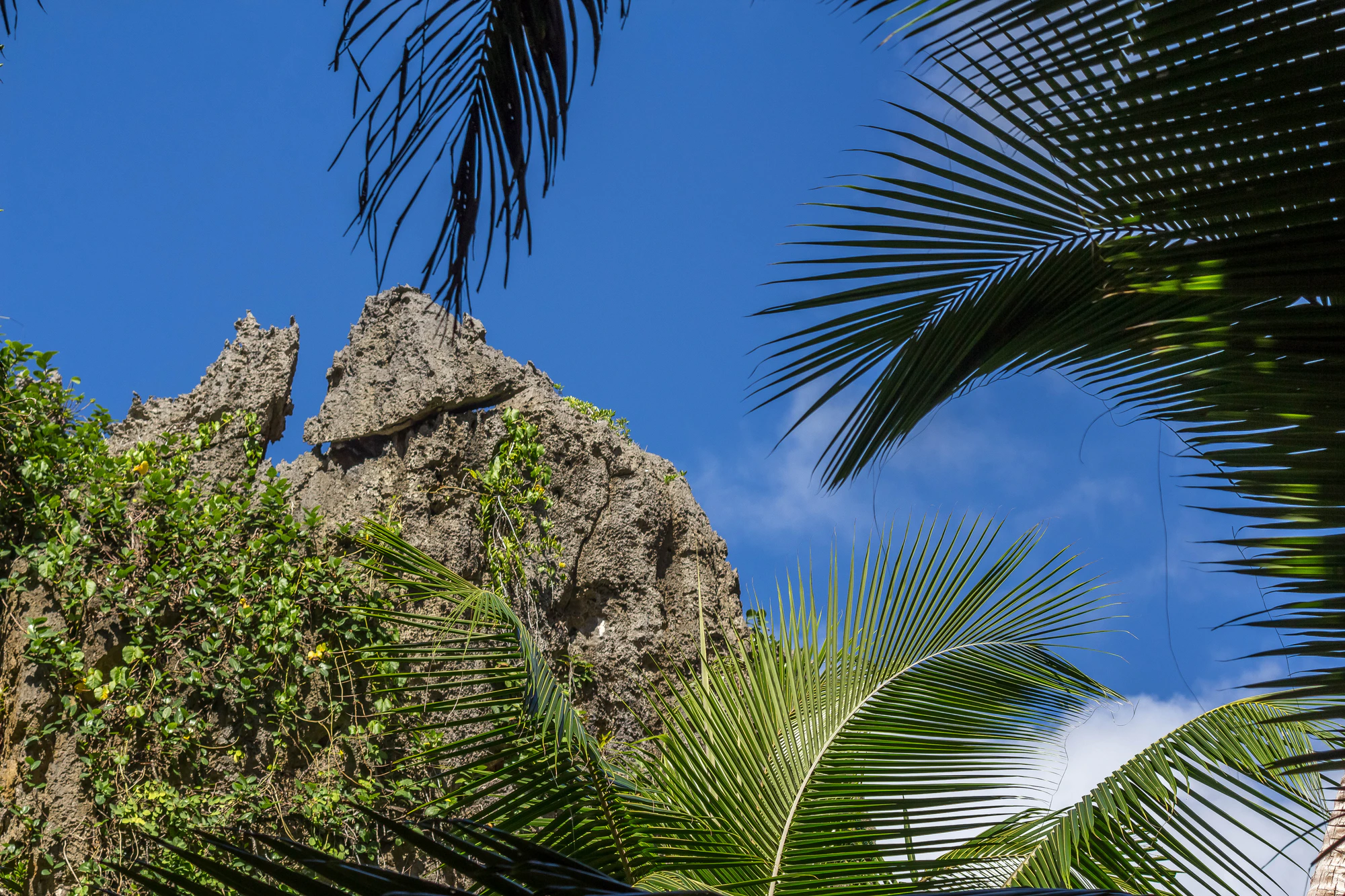togo coral rock chasm 087 — Descargar