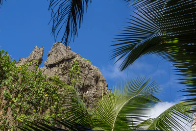 togo coral rock chasm 087 — Descargar