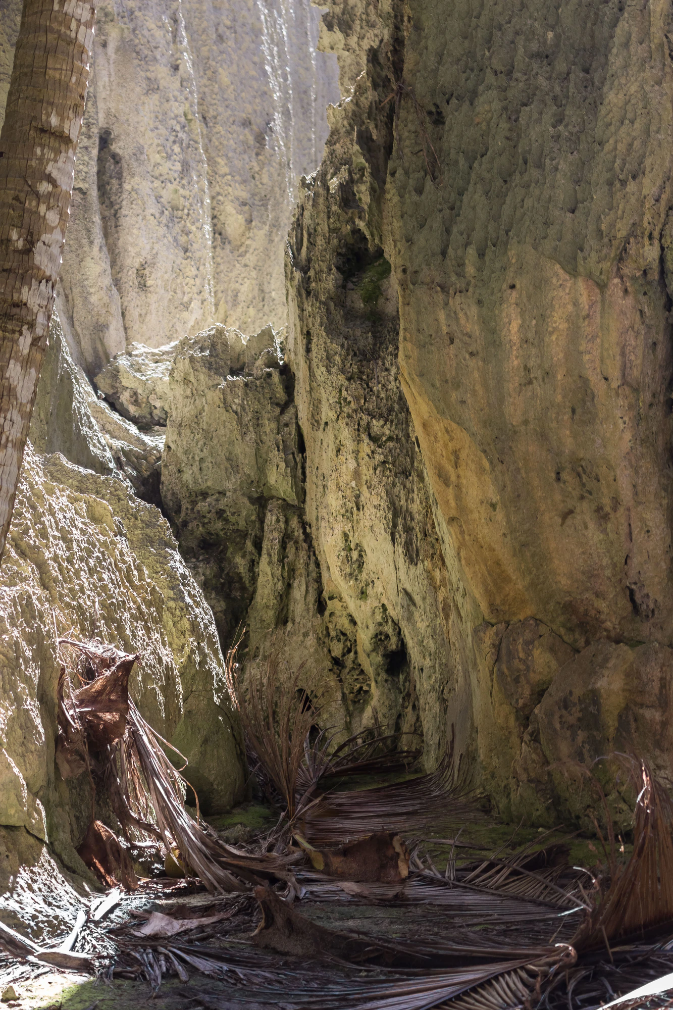 togo coral rock chasm 093 — Descargar