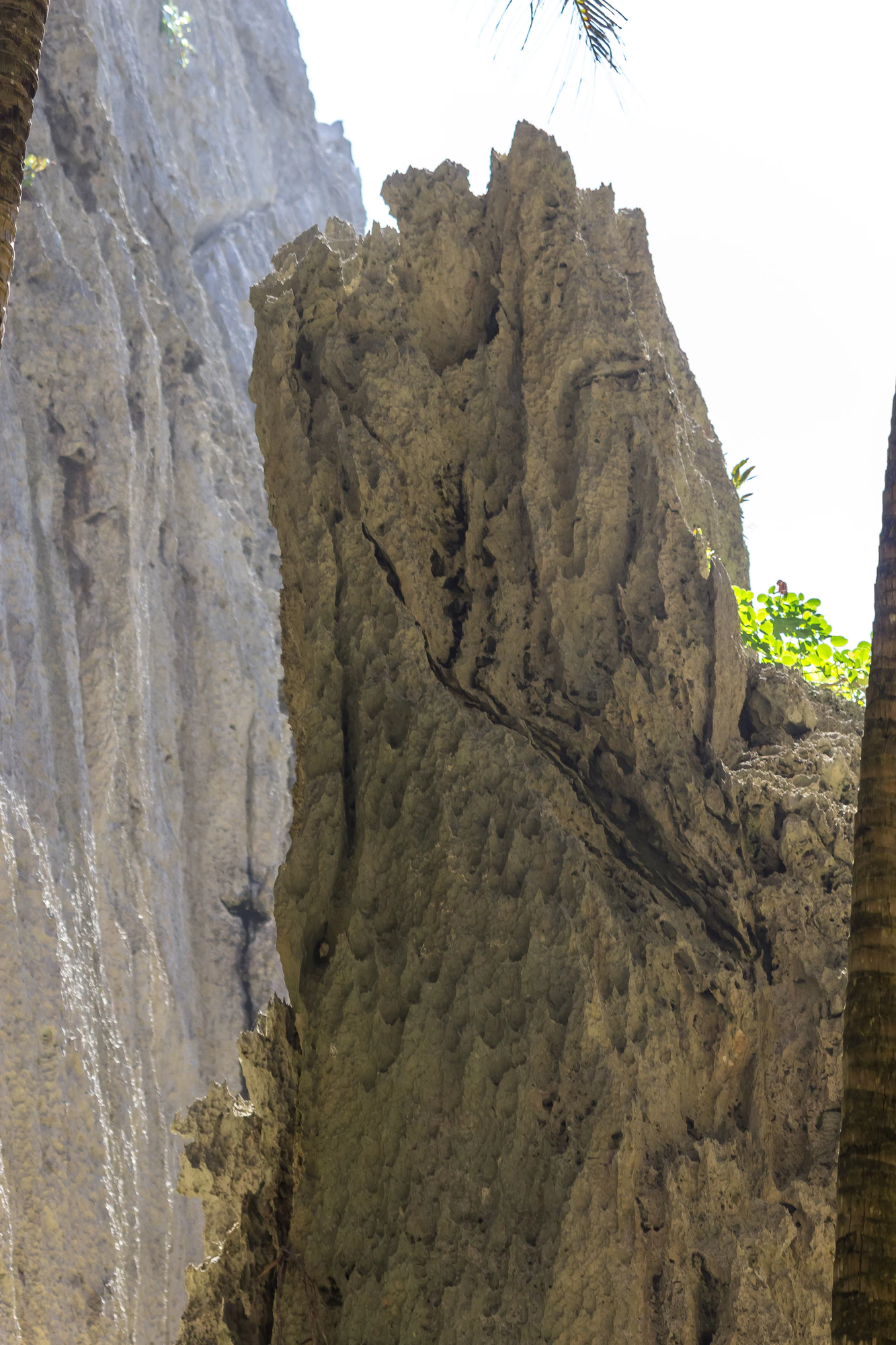 togo coral rock chasm 094 — Скачать