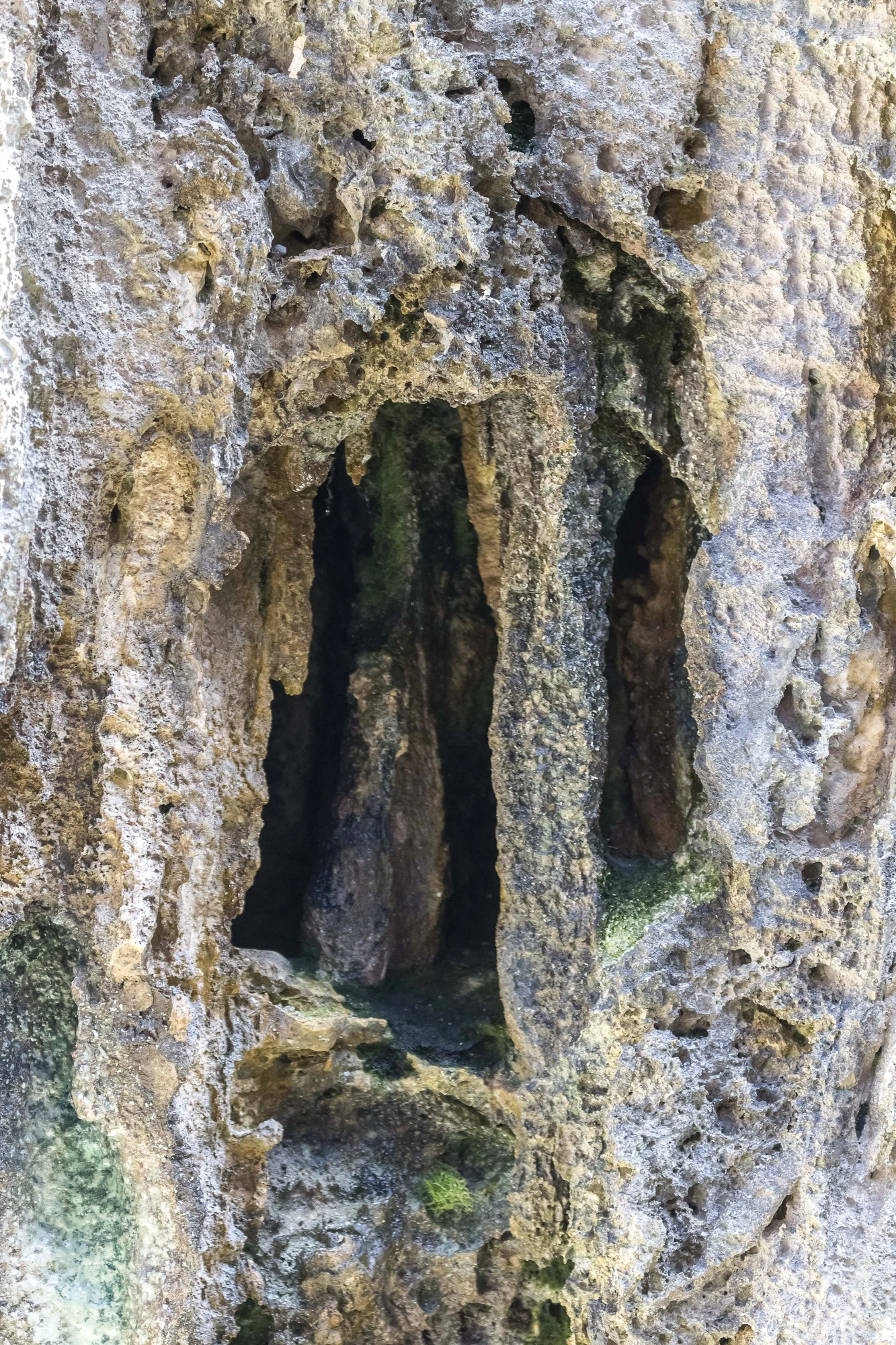 togo coral rock chasm 107 — Скачать