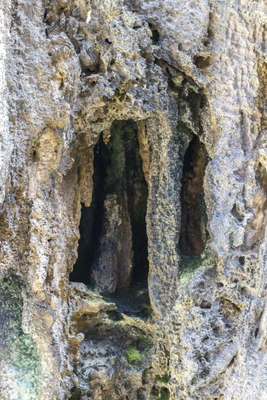 togo coral rock chasm 107 — Скачать