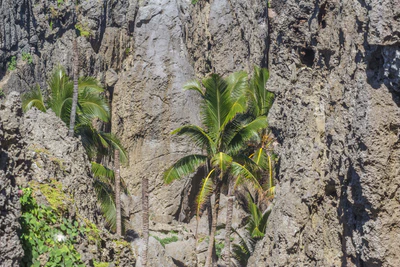 togo coral rock chasm 110 — Скачать