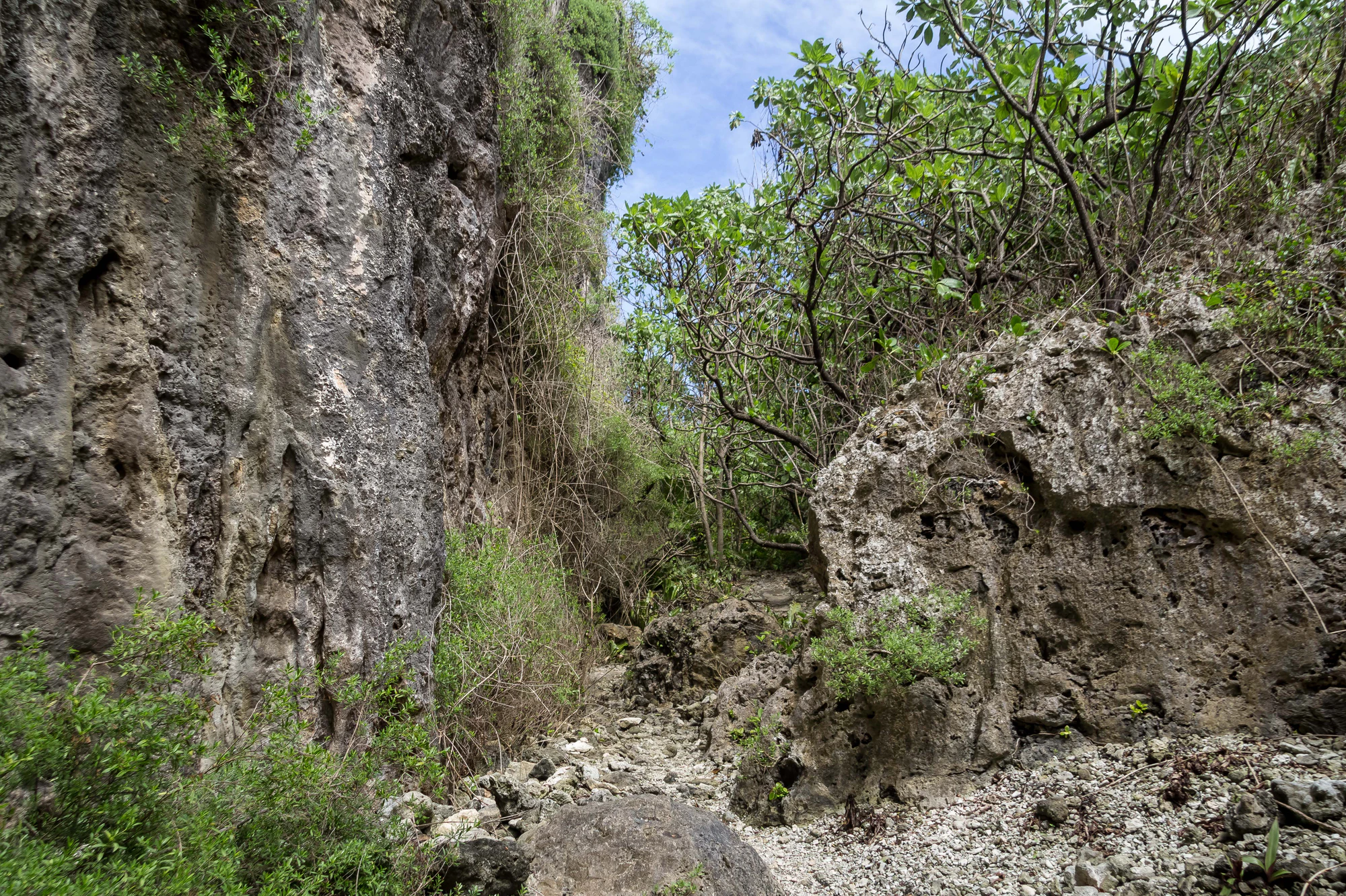 togo coral rock chasm 119 — Descargar