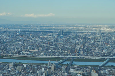 tokyo aerial cityscape 007 — Скачать