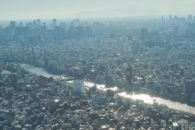 tokyo aerial cityscape 075 — Descargar