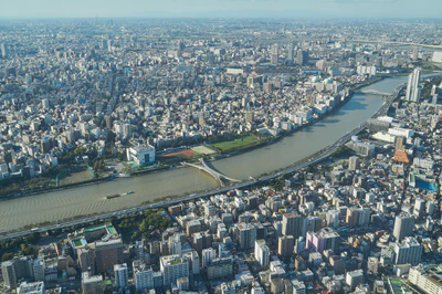 tokyo aerial cityscape 143 — Descargar