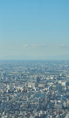 tokyo aerial cityscape 159 — Descargar