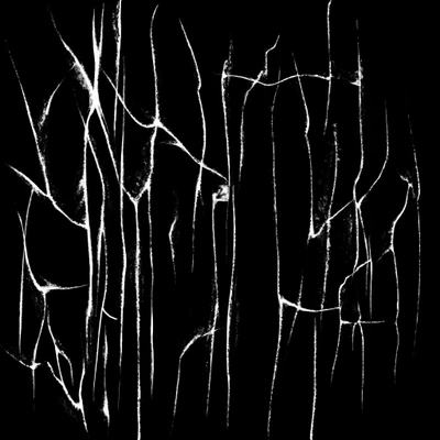 cracks 030 — Descargar