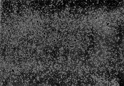 grunge fullframe random distribution 010 — Скачать