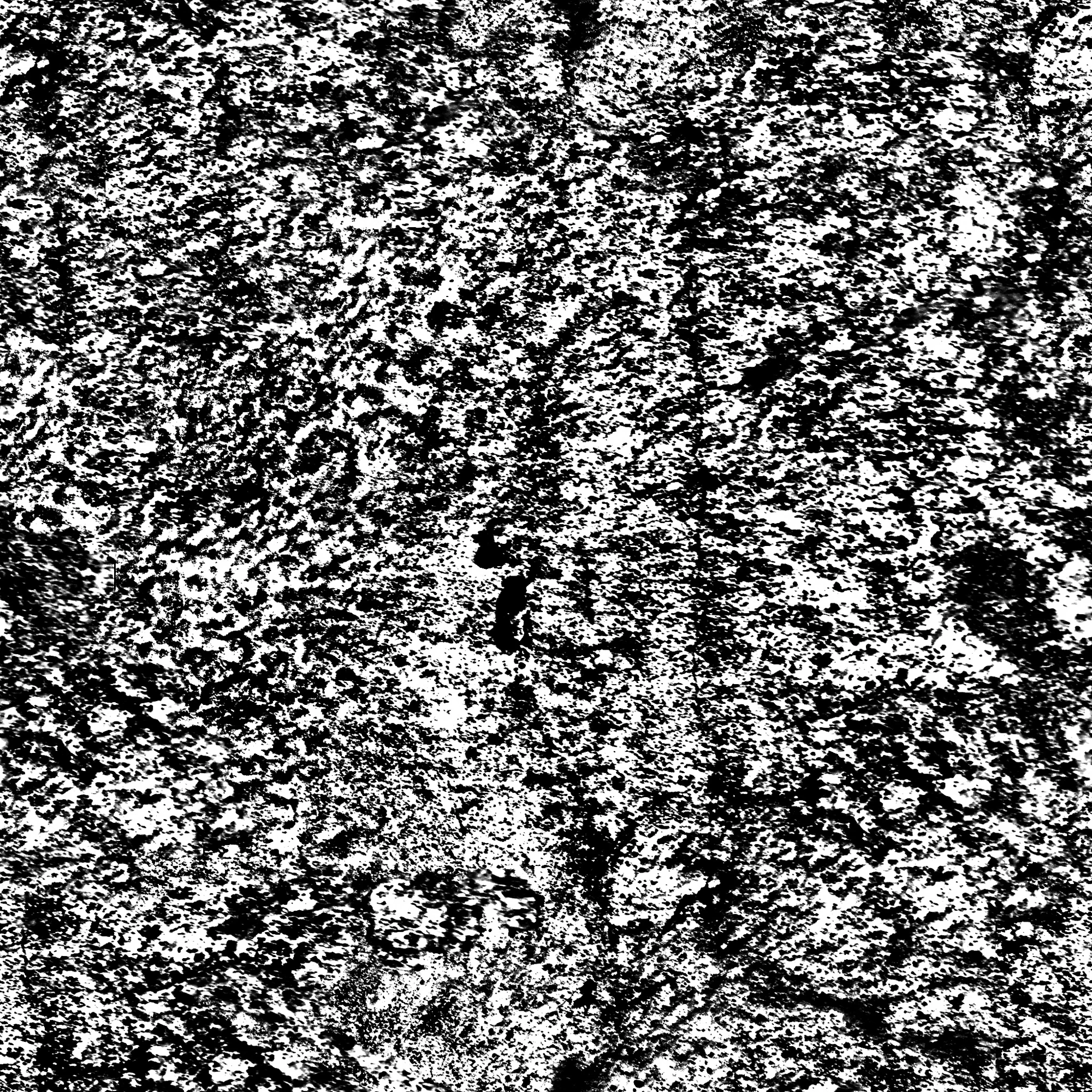 grunge fullframe random distribution 105 — Descargar