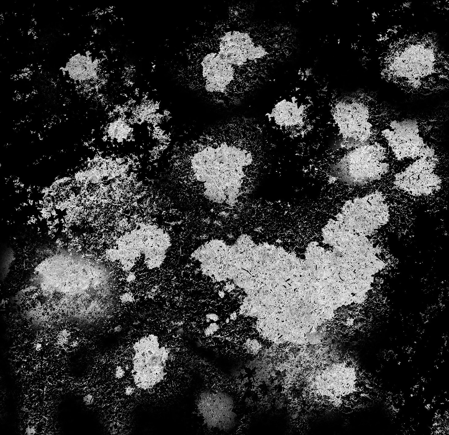 grunge spattered surfaces non continuous 002 — Скачать