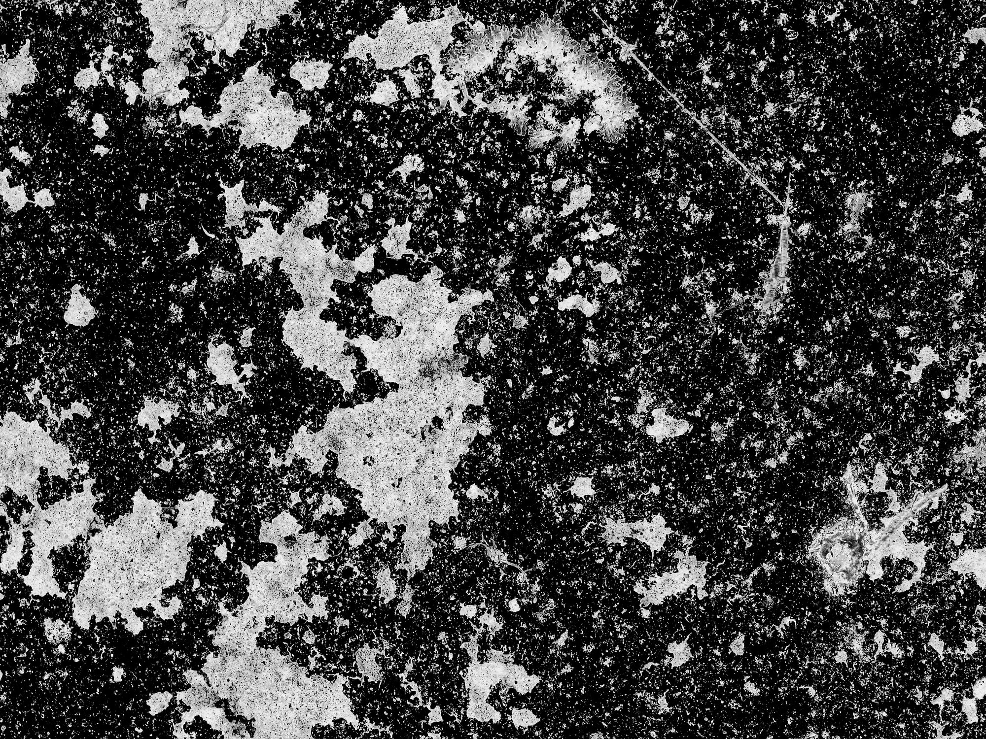 grunge spattered surfaces non continuous 010 — Скачать