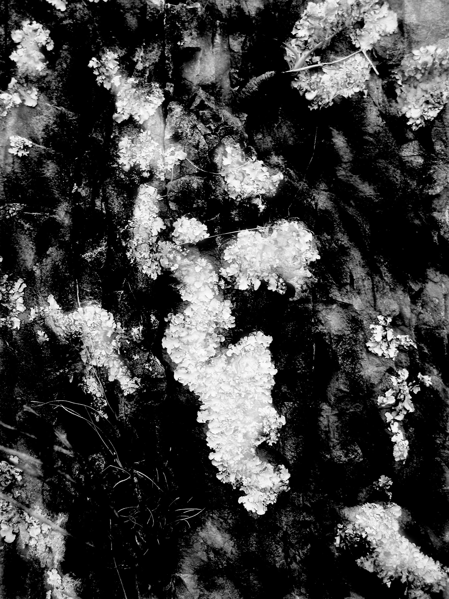 grunge spattered surfaces non continuous 013 — Скачать
