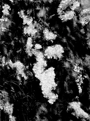 grunge spattered surfaces non continuous 013 — Скачать
