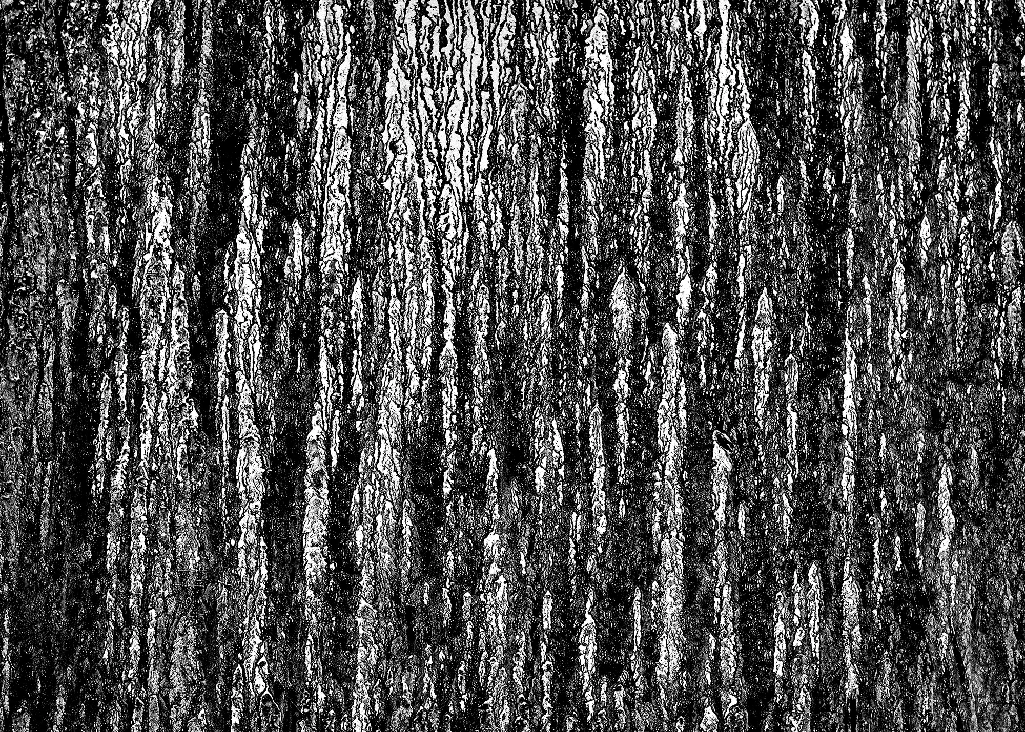 grunge vertical stained large sufaces 071 — Download