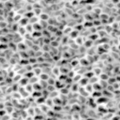 noise cell 003 — Descargar