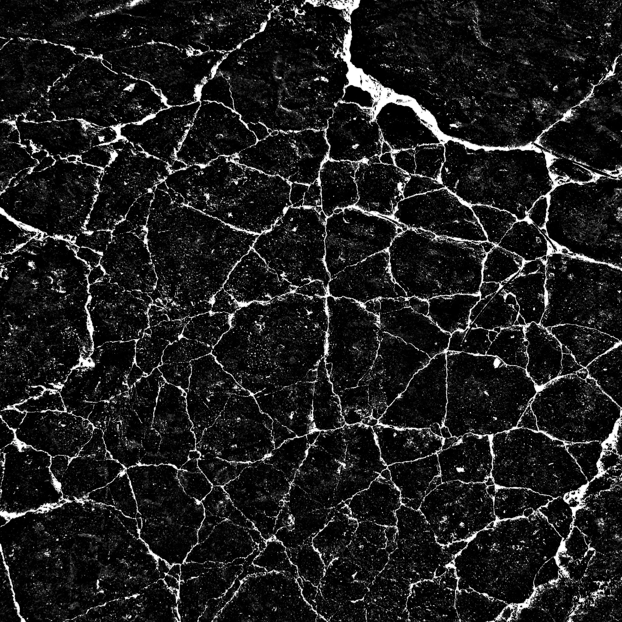 noise cell 005 — Скачать