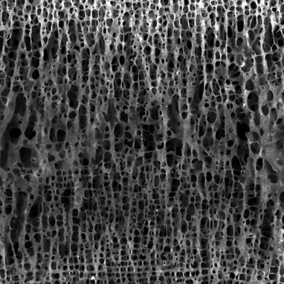 noise cell 013 — Descargar