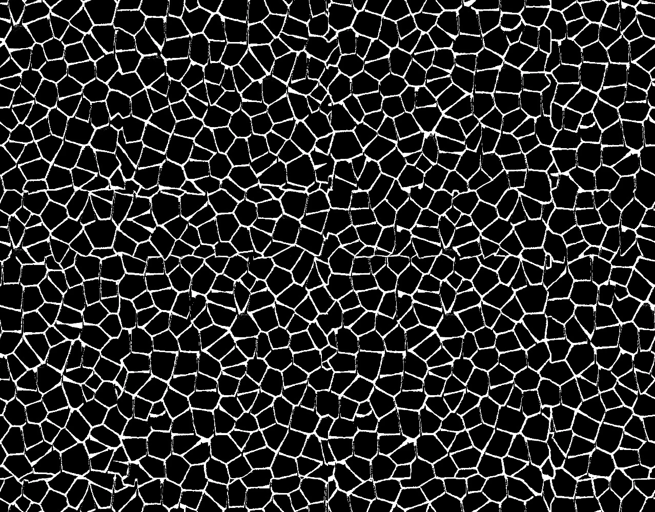 noise cell 024 — Descargar