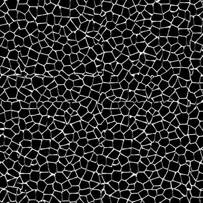 noise cell 024 — Descargar