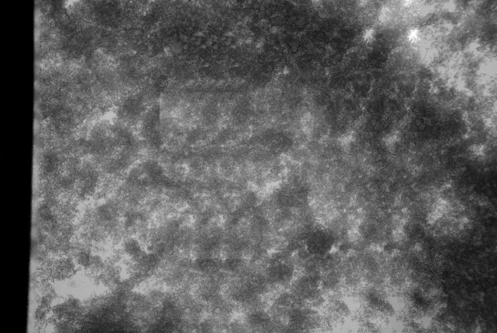 noise other 043 — Скачать