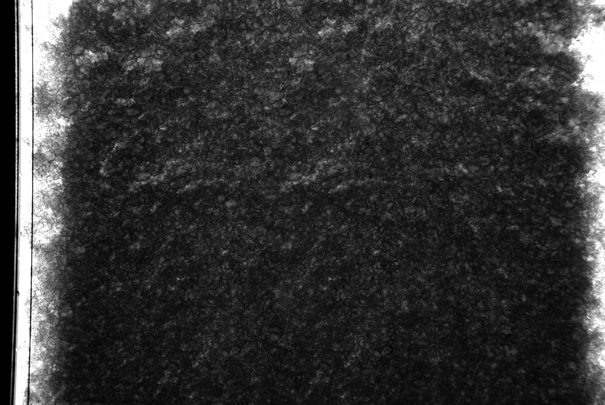 noise other 044 — Скачать