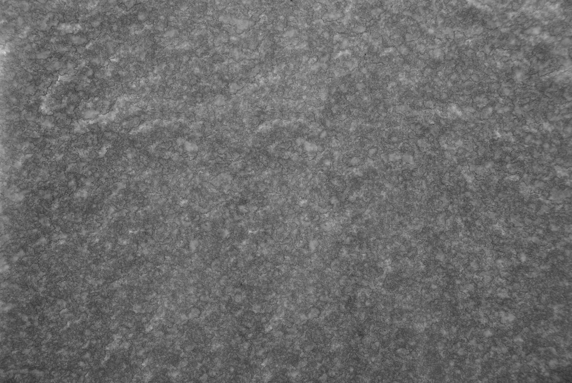 noise other 045 — Скачать