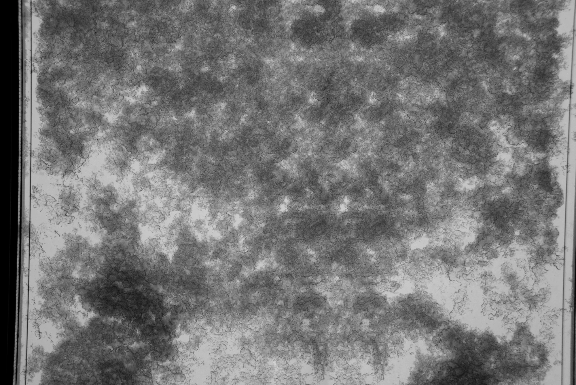 noise other 048 — Descargar