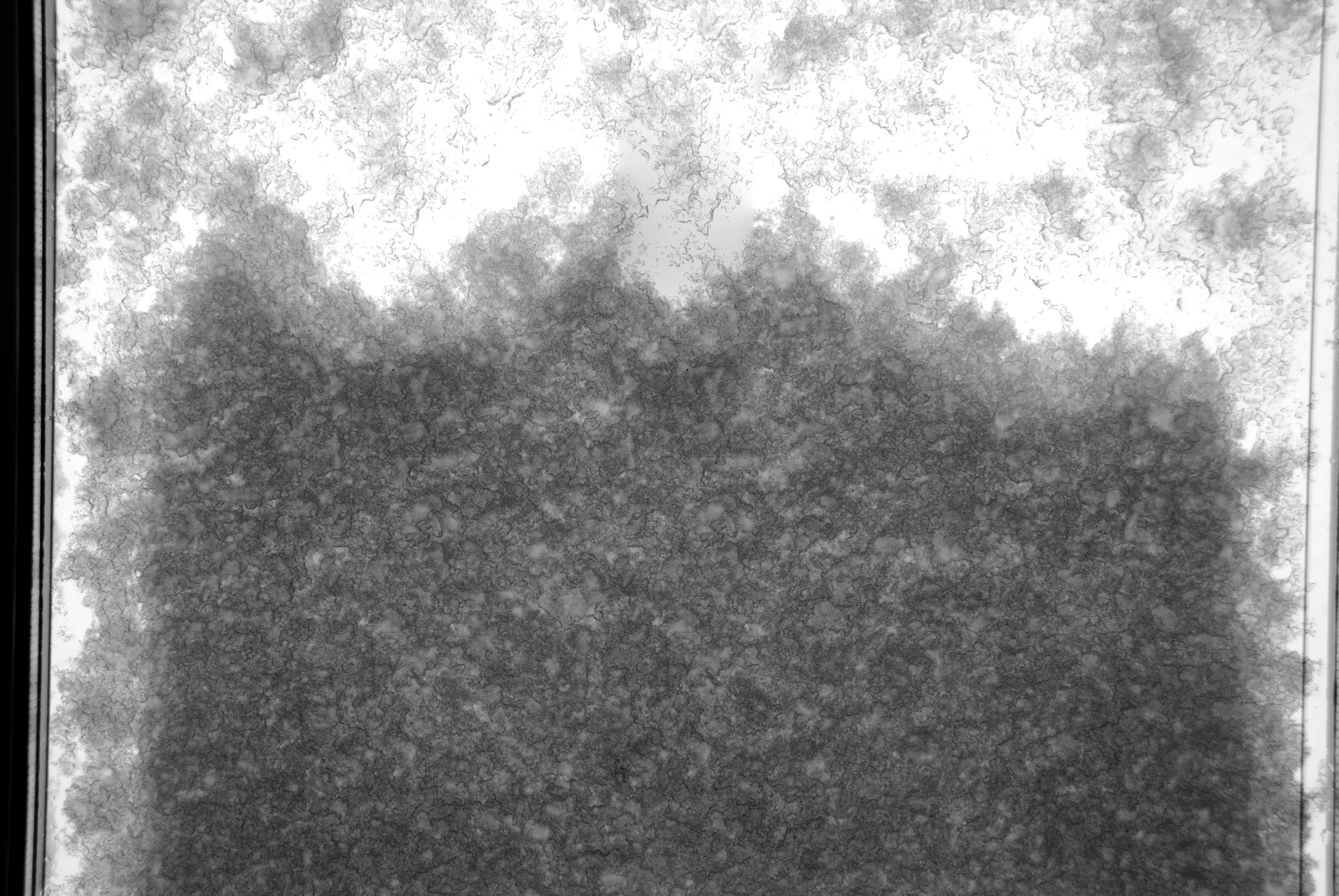 noise other 049 — Descargar