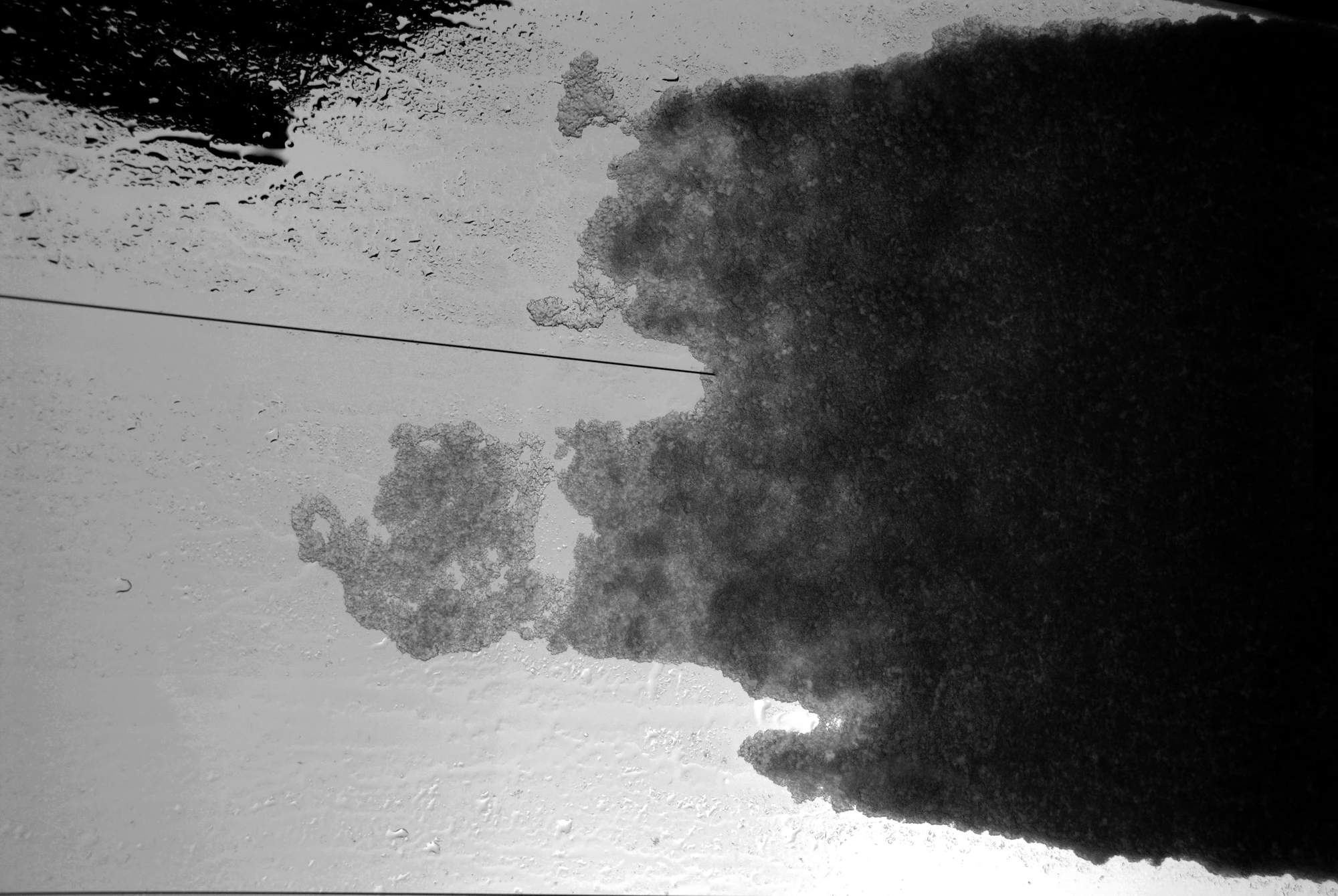 noise other 051 — Descargar