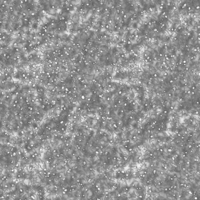 noise other 056 — Descargar