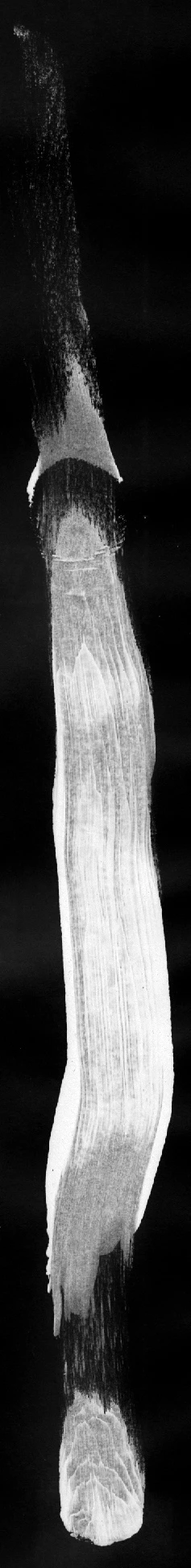 paint brush strokes singles 043 — Descargar