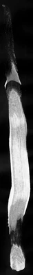 paint brush strokes singles 043 — Descargar