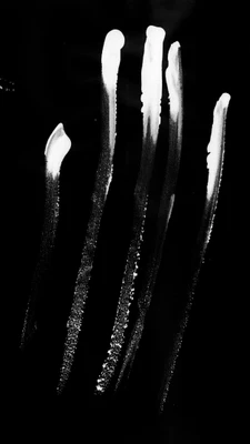paint brush strokes singles 059 — Descargar
