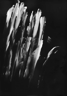 paint brush strokes singles 061 — Descargar