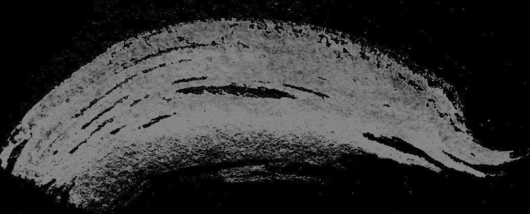 paint brush strokes singles 089 — Скачать