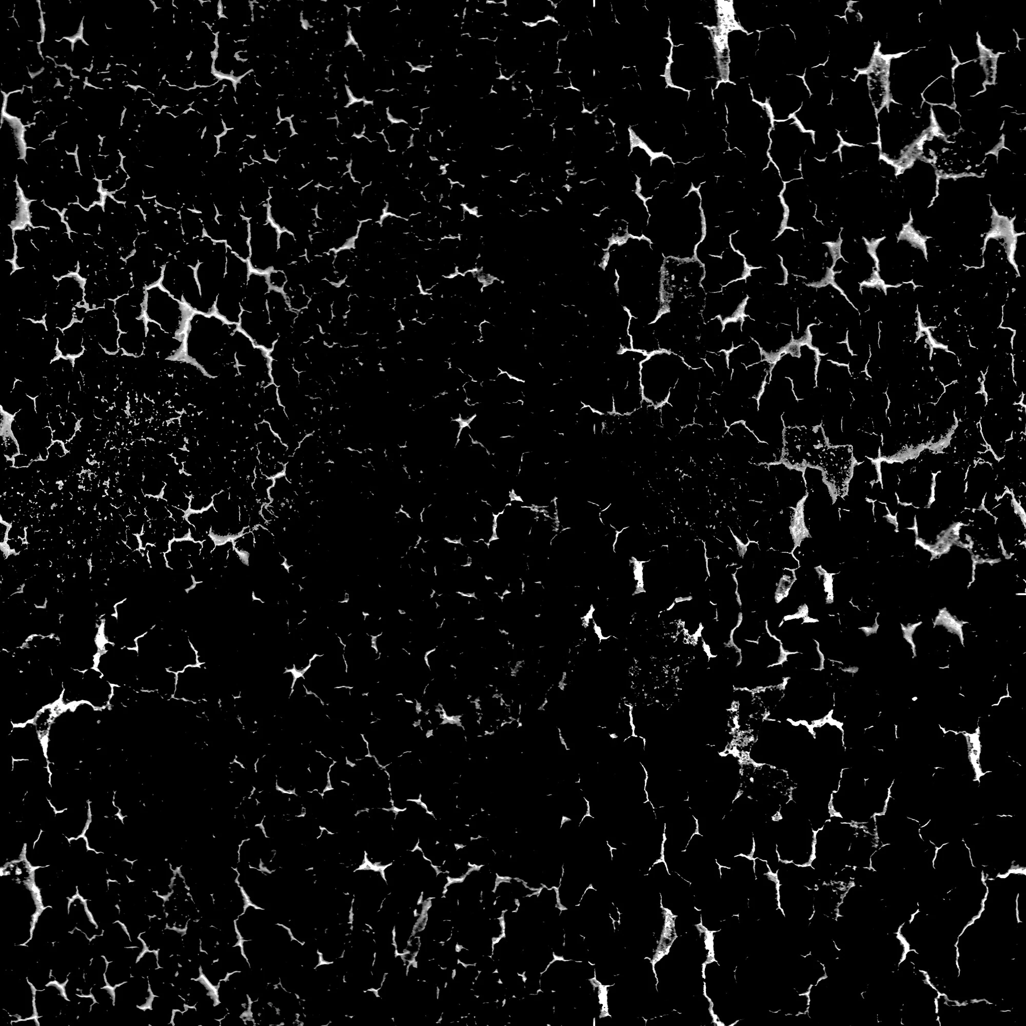 peeling 030 — Descargar