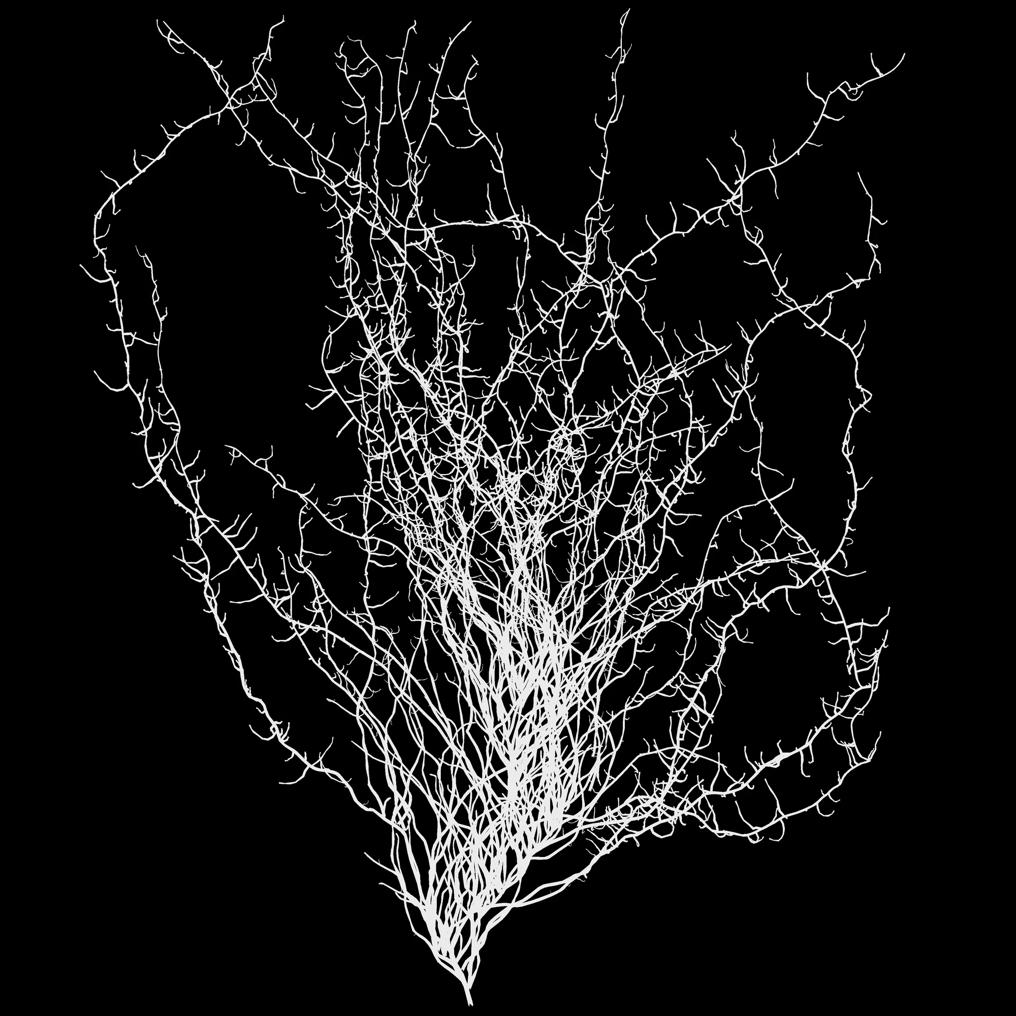 veiny 001 — Скачать