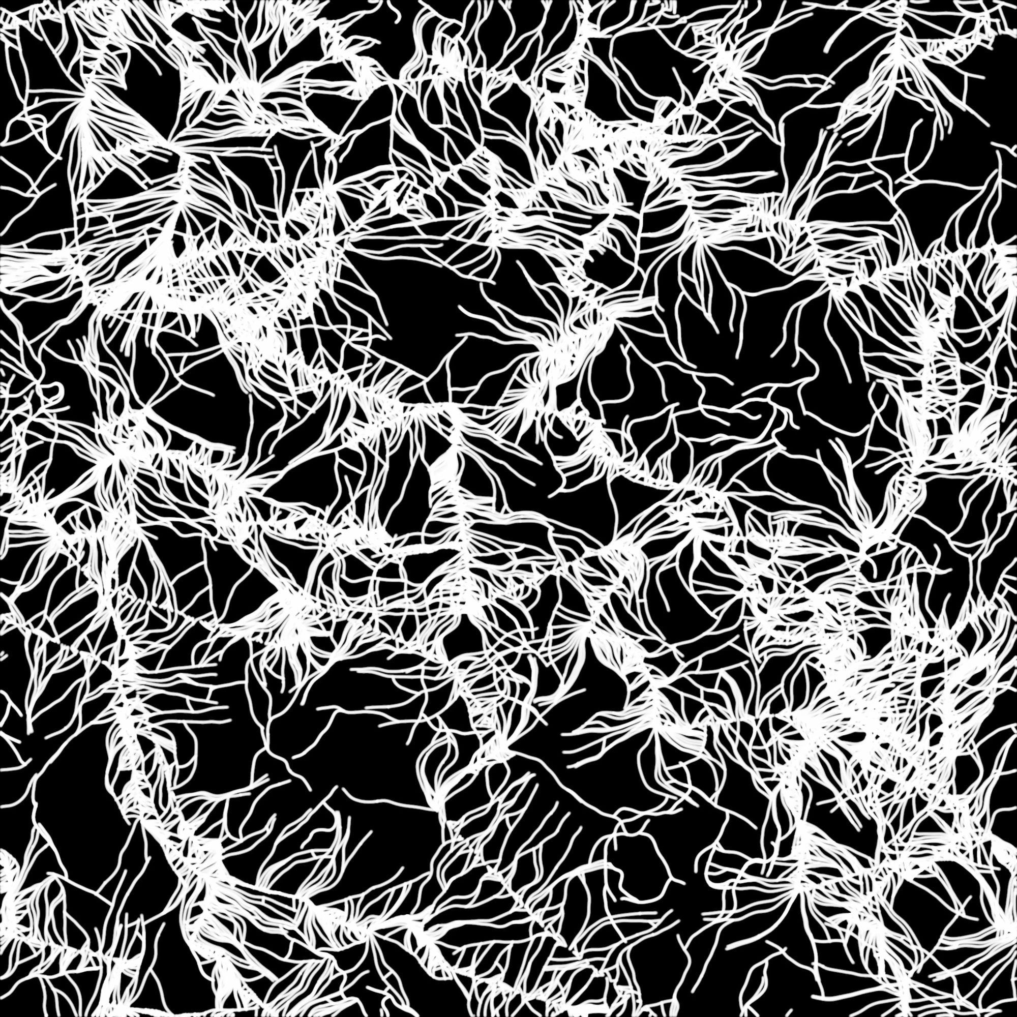 veiny 008 — Descargar
