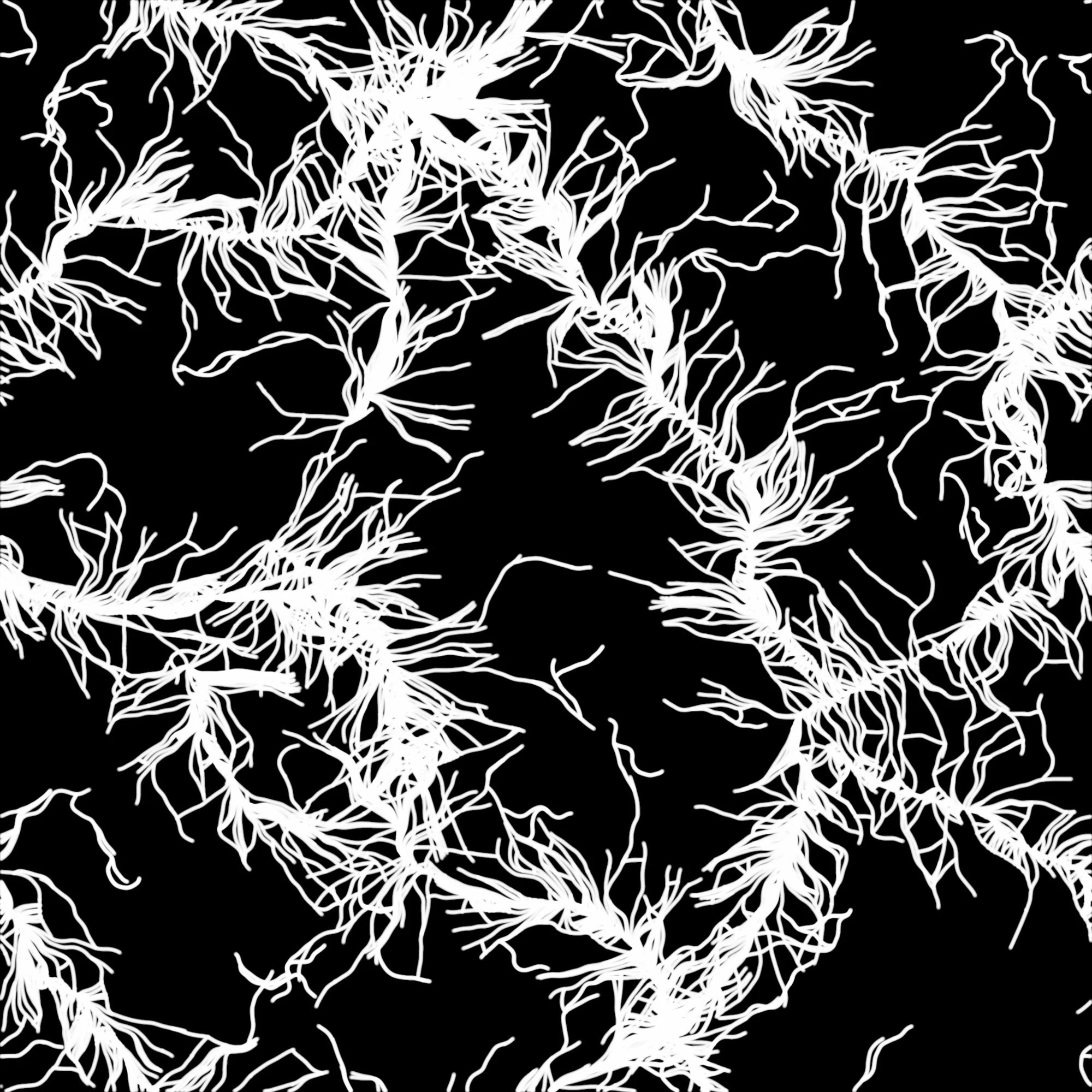 veiny 011 — Скачать