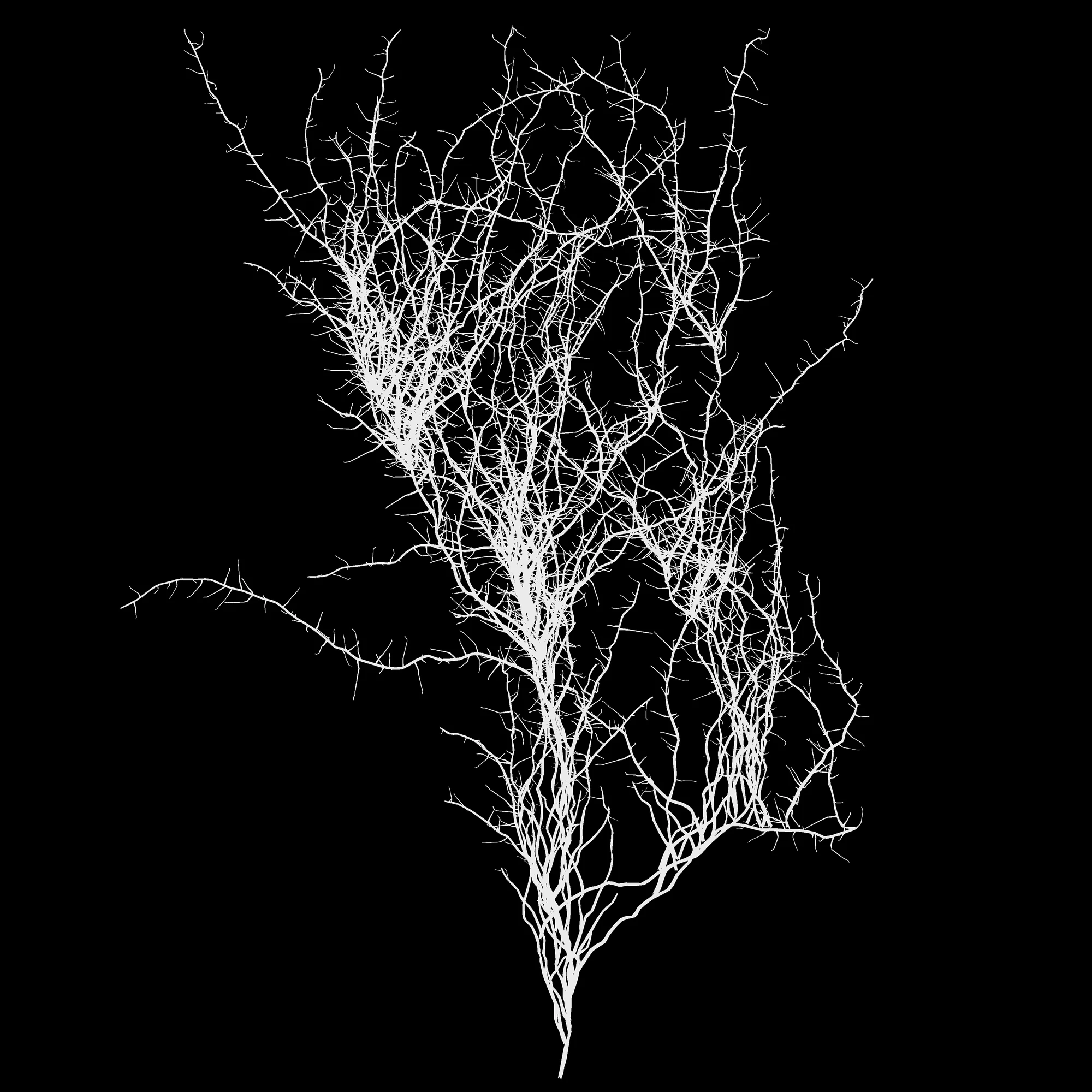 veiny 012 — Descargar