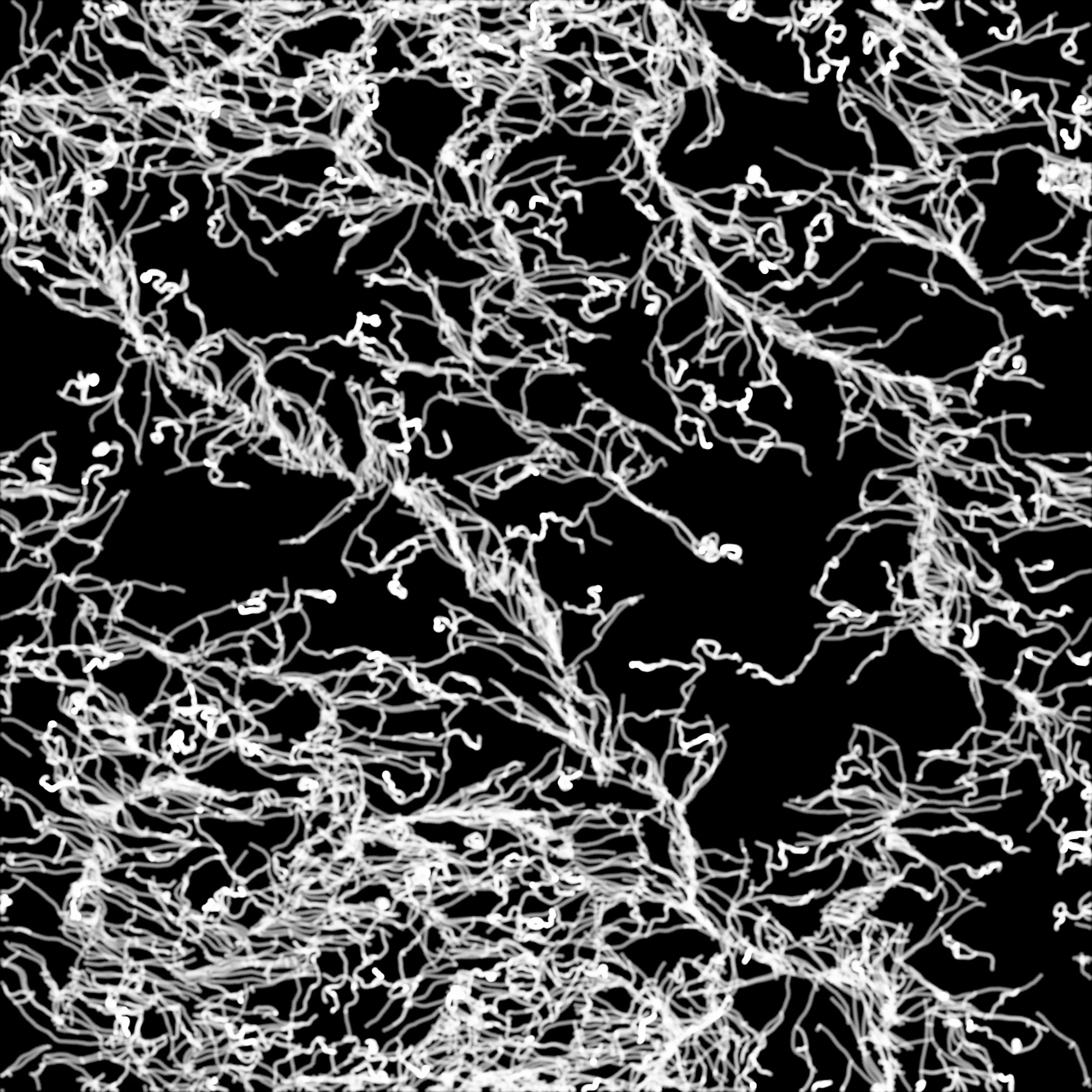 veiny 015 — Скачать