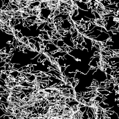 veiny 015 — Скачать